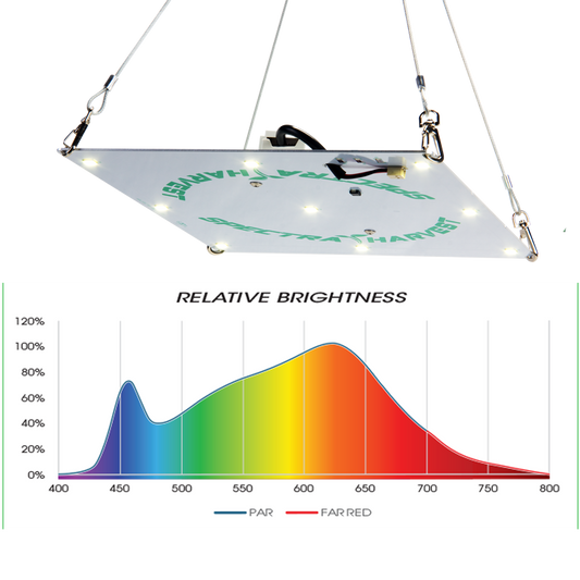 Rectangular Hanging Light