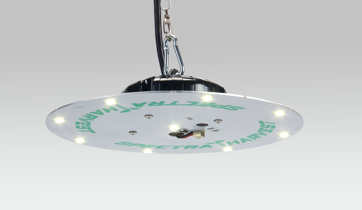 Round Hanging Light
