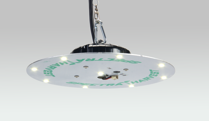 Round Hanging Light