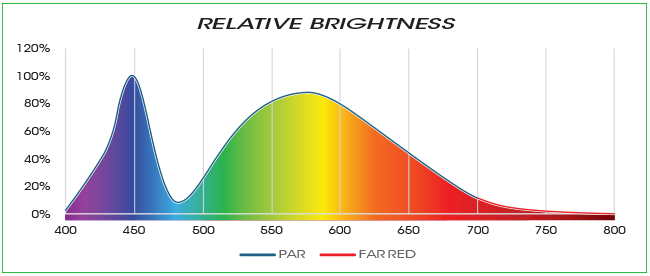 LED Strip Lights 33 Inch
