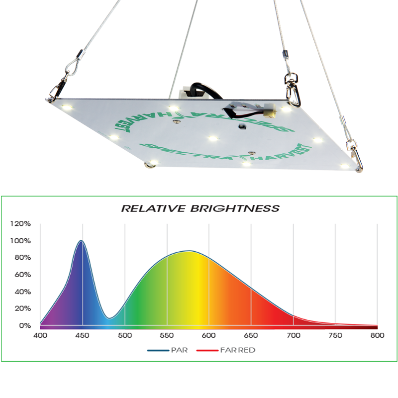 Rectangular Hanging Light