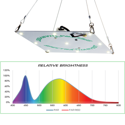 Rectangular Hanging Light