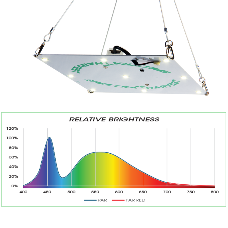 Rectangular Hanging Light