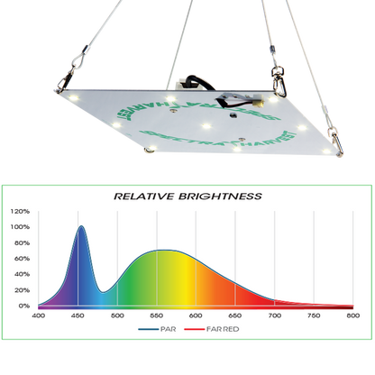 Rectangular Hanging Light