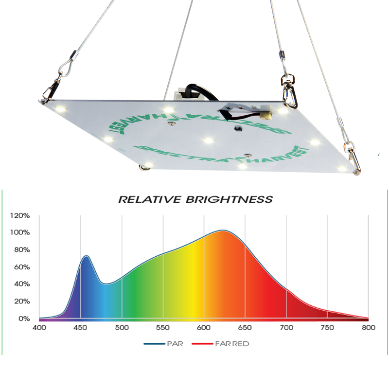 Rectangular Hanging Light