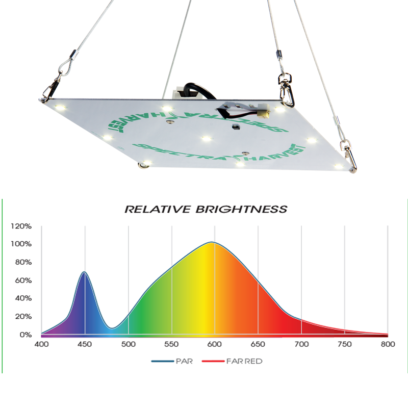 Rectangular Hanging Light