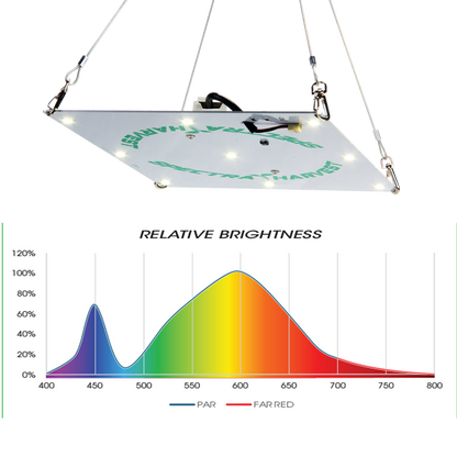 Rectangular Hanging Light