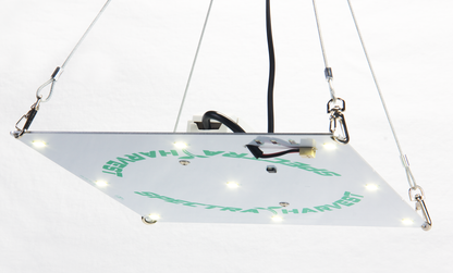 Rectangular Hanging Light