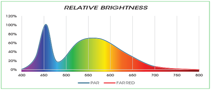 LED Strip Lights 33 Inch